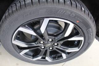 FORD Puma usata, con Fendinebbia