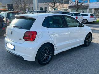 VOLKSWAGEN Polo usata, con Airbag Passeggero