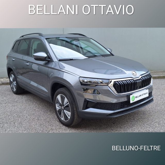 SKODA Karoq usata, con ABS