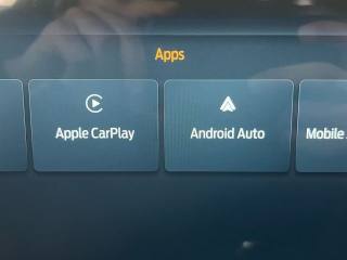 FORD Mustang usata, con Regolazione elettrica sedili