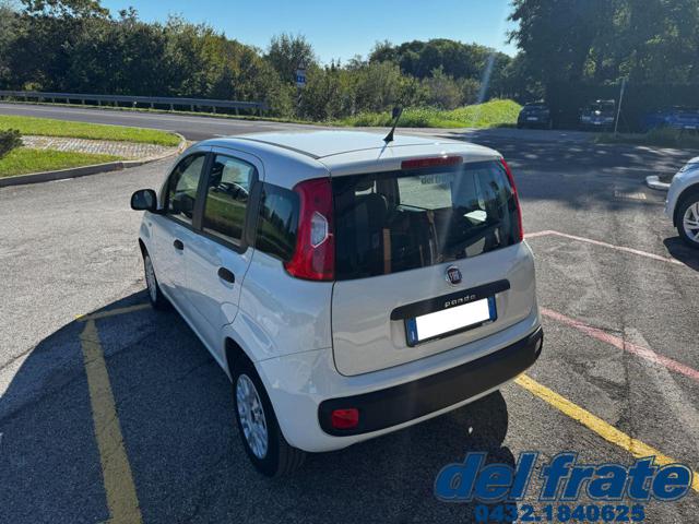 FIAT Panda usata, con Airbag Passeggero