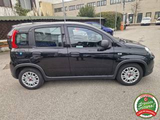 FIAT Panda usata, con Boardcomputer