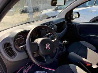 FIAT Panda usata, con Controllo automatico clima
