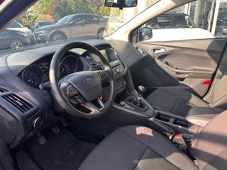 FORD Focus usata, con Airbag Passeggero