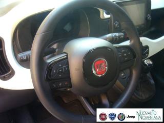 FIAT Panda Cross usata, con Chiusura centralizzata telecomandata