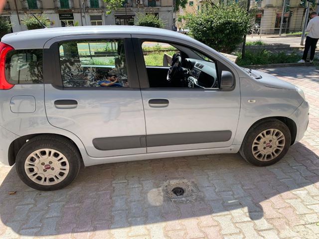 FIAT Panda usata 12