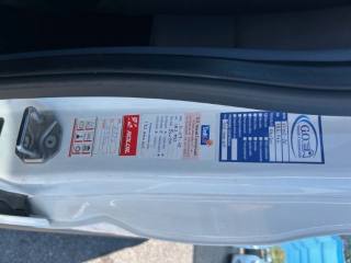 FORD Transit usata 22