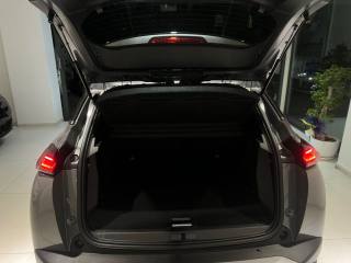 PEUGEOT 2008 usata, con Cronologia tagliandi