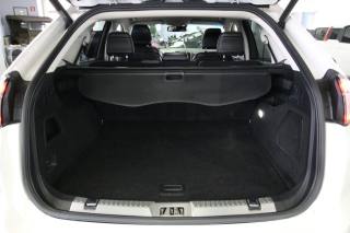FORD Edge usata, con Volante in pelle