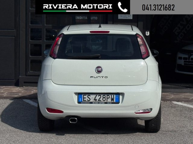 FIAT Punto usata, con Fendinebbia