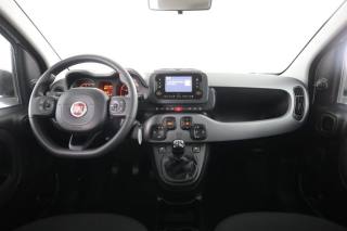 FIAT Panda usata 4