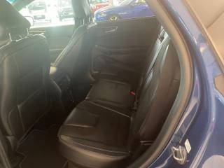 FORD Edge usata, con Fendinebbia