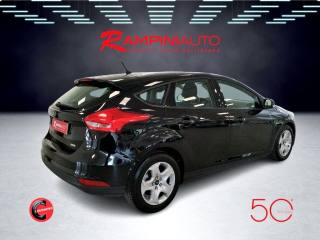 FORD Focus usata 6