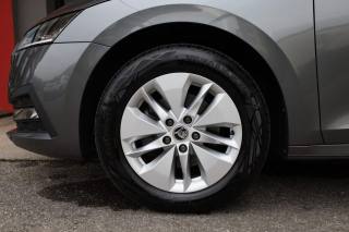 SKODA Octavia usata 165