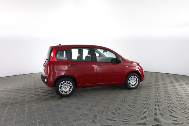 FIAT Panda usata 2