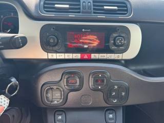 FIAT Panda Cross usata, con Filtro antiparticolato