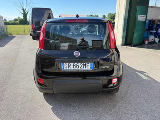 FIAT Panda usata, con Climatizzatore