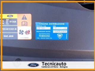 FORD Focus usata 19