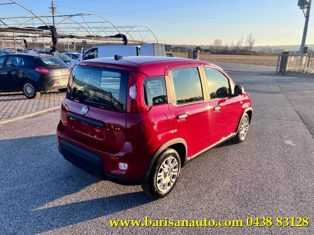 FIAT Panda usata, con Airbag Passeggero