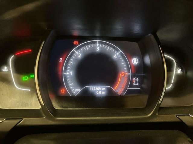 RENAULT Scenic usata, con Bracciolo