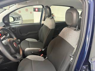 FIAT Panda usata, con Autoradio