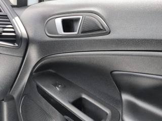 FORD EcoSport usata, con Volante multifunzione
