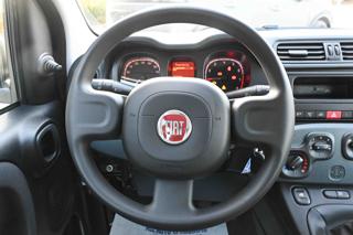 FIAT Panda usata 15