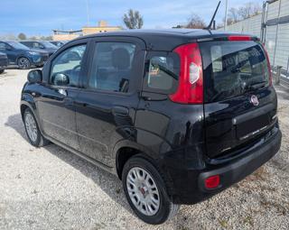 FIAT Panda usata, con Airbag Passeggero