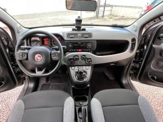FIAT Panda usata 12