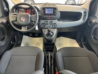 FIAT Panda usata, con Servosterzo