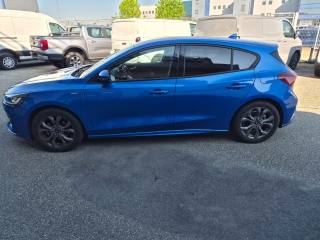 FORD Focus usata, con Vetri oscurati