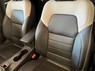 RENAULT Arkana usata 24