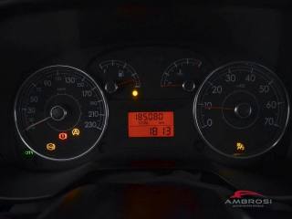FIAT Punto usata 12