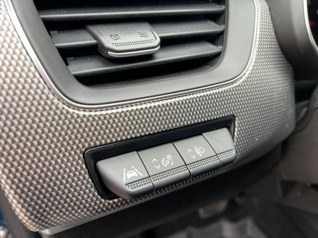 RENAULT Arkana usata, con Cerchi in lega