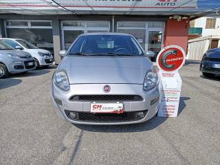 FIAT Punto usata, con Airbag