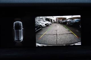 ALFA ROMEO Stelvio usata, con Cronologia tagliandi