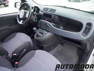 FIAT Panda usata 10
