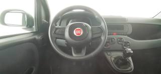 FIAT Panda usata 39