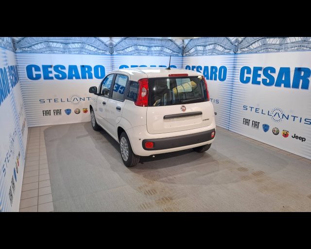 FIAT Panda usata, con Alzacristalli elettrici