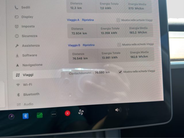 TESLA Model 3 usata 14