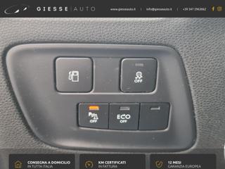 DS AUTOMOBILES DS 4 usata, con Cruise Control