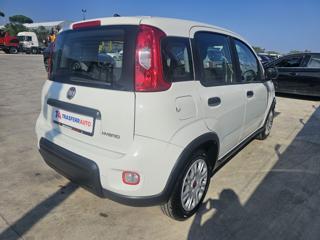 FIAT Panda usata, con Antifurto