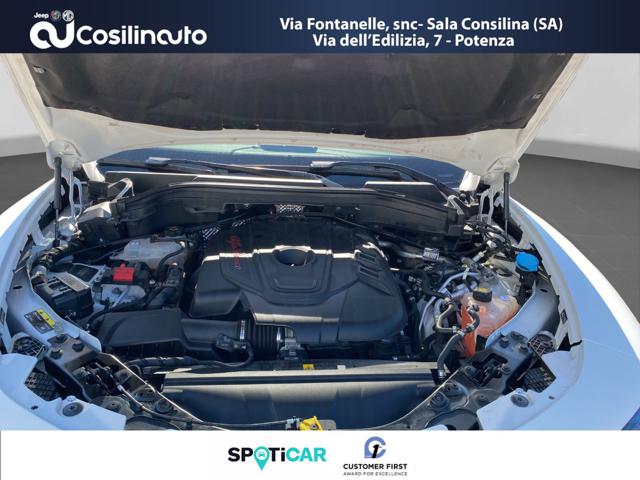 ALFA ROMEO Stelvio usata, con Servosterzo