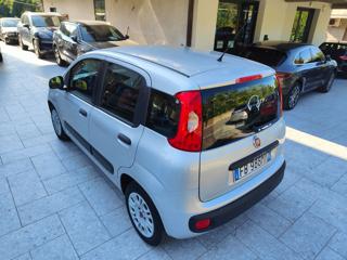FIAT Panda usata, con Climatizzatore