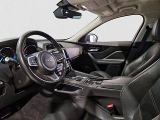 JAGUAR F-Pace usata, con Cronologia tagliandi