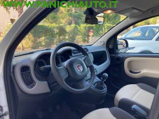 FIAT Panda usata, con Immobilizzatore elettronico