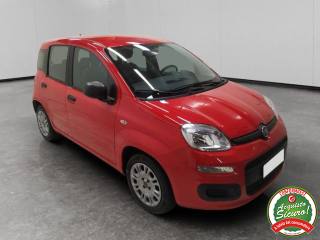 FIAT Panda usata, con Airbag Passeggero