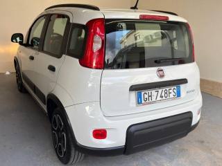 FIAT Panda usata, con Chiusura centralizzata