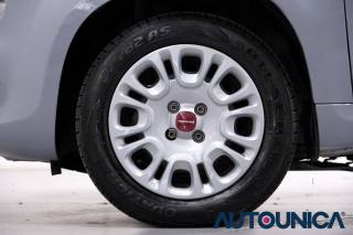 FIAT Panda usata, con Immobilizzatore elettronico
