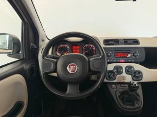 FIAT Panda usata 9